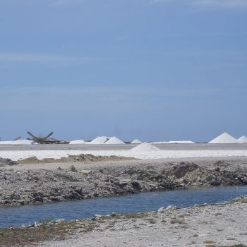 Zoutvlaktes Bonaire